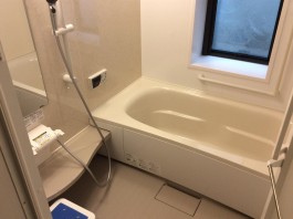 Ｐａｎａｓｏｎｉｃ オフローラ